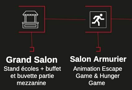 grand salon et salon armurier